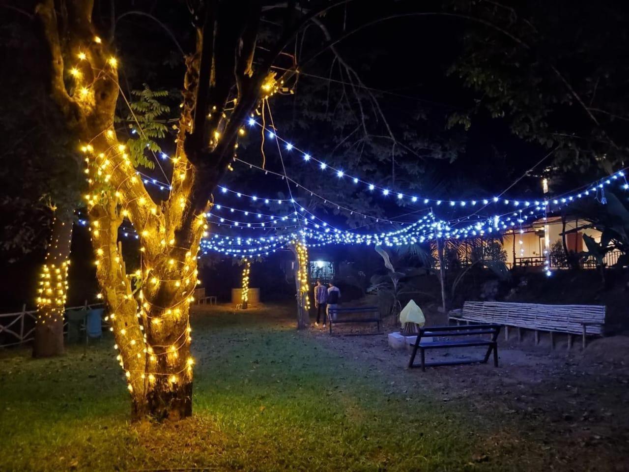 Casa Creek Apart otel Vythiri Dış mekan fotoğraf